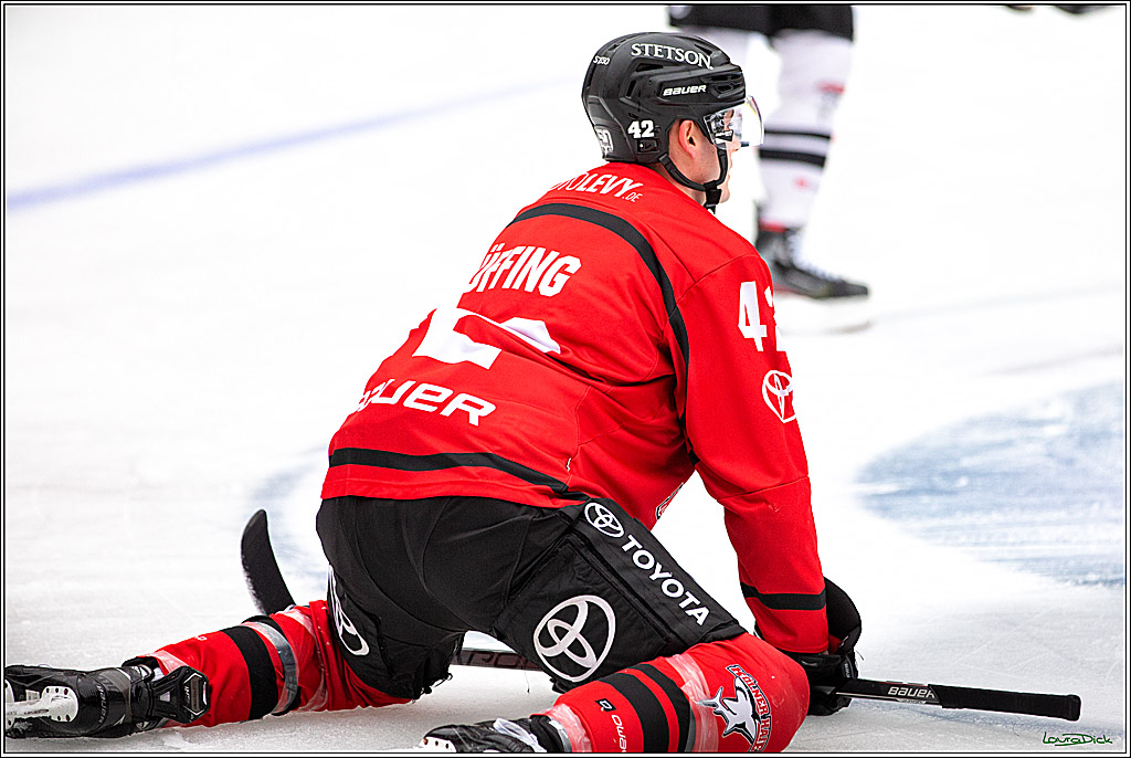 PENNY DEL; Koelner Haie Wintergame Training; Koeln, 02.12.2022